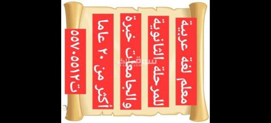 مدرس لغة عربية ثانوي وجامعات