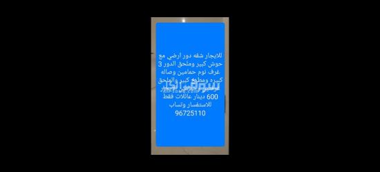 للايجار شقه في سلوى دور ارضي مع حوش كبير - 5